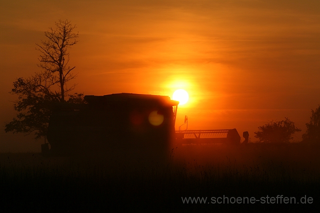 Maehdrescher beim Sonnenuntergang.JPG - ein Mähdrescher bei der Arbeit